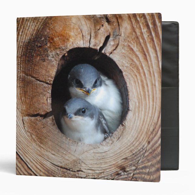 Classeur Oiseaux de bébé (Devant/Intérieur)