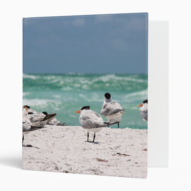 Classeur Oiseaux sur la plage (Devant/intérieur)