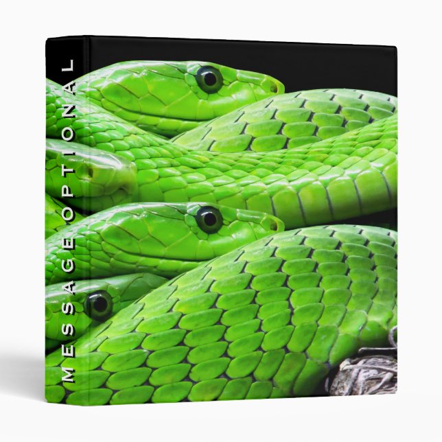 Classeur Options de peau de serpent 2 (Devant/Côté)