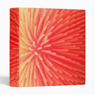 Classeur Orange chaud rouge de boule d'abrégé sur visqueu