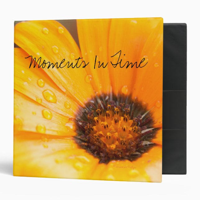 Classeur Orange Spring Flash African Daisy Photo personnali (Devant/intérieur)