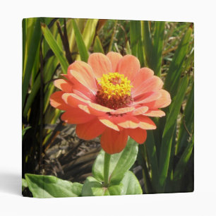 Classeur Orange Zinnia Flower Album photo