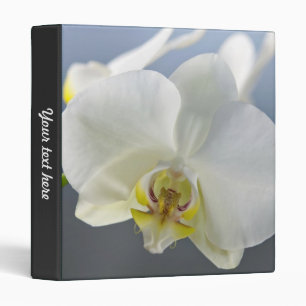 Classeur Orchidée blanche