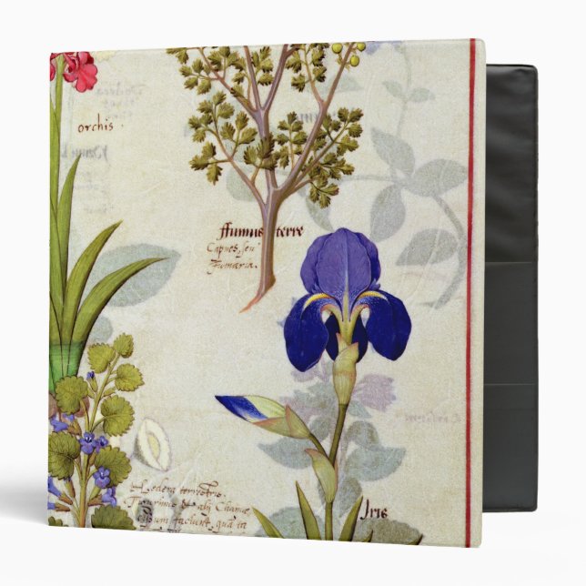 Classeur Orchidée et Fumitory ou Hedera et iris de (Devant/Intérieur)