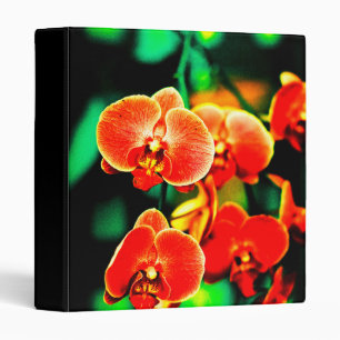 Classeur Orchidées