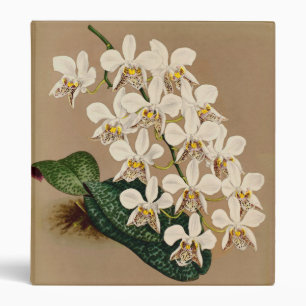 Classeur Orchidées Blanches Impression Botanique, Arrière -