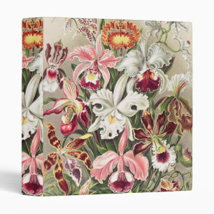Classeur Orchidées, Orchidées Denusblumen par Ernst Haeck