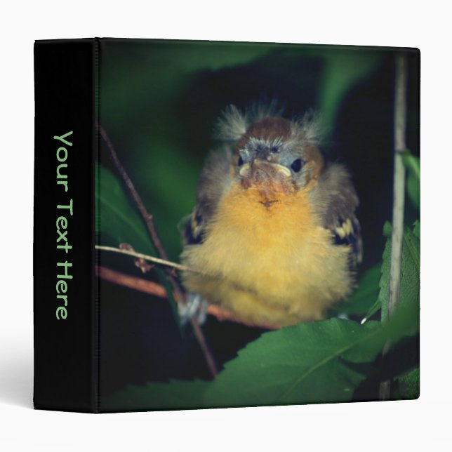 Classeur Oriole Bébé Oisillon Nature Personnalisé (Devant/Côté)