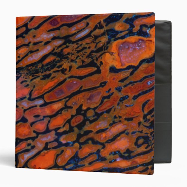Classeur Os de dinosaure de Petria rouge (Devant/Intérieur)