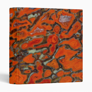 Classeur Os de dinosaure pétrifié rouge