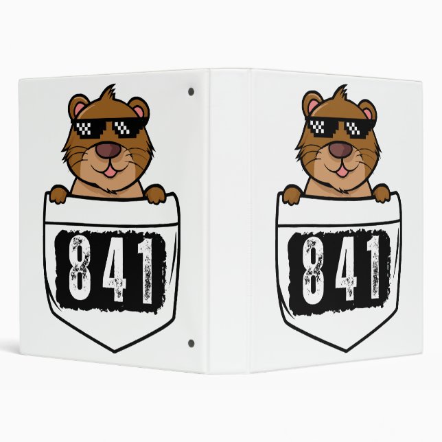 Classeur Otter 841 (Arrière-plan)