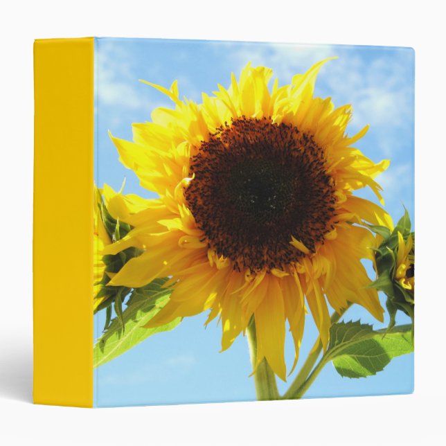 Classeur ou album de tournesol (Devant/Côté)