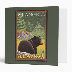 Classeur Ours noir dans la forêt - Wrangell, Alaska
