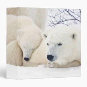 Classeur Ours polaires femelle et deux oursons