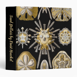 Classeur Oursins Anciens Dollars de Sable par Ernst Haeckel