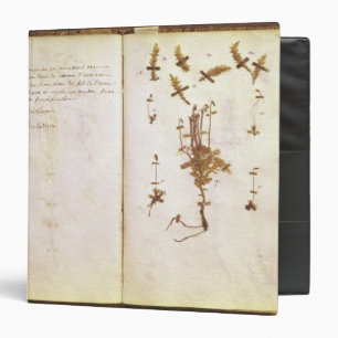 Classeur Page 24 d'un herbier