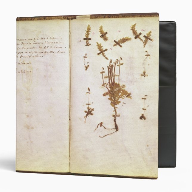 Classeur Page 24 d'un herbier (Devant/Intérieur)