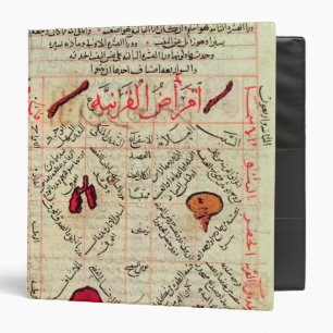 Classeur Page de "Canon de médecine" par Avicenna