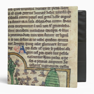 Classeur Page de Roy de texte avec l'illustration de