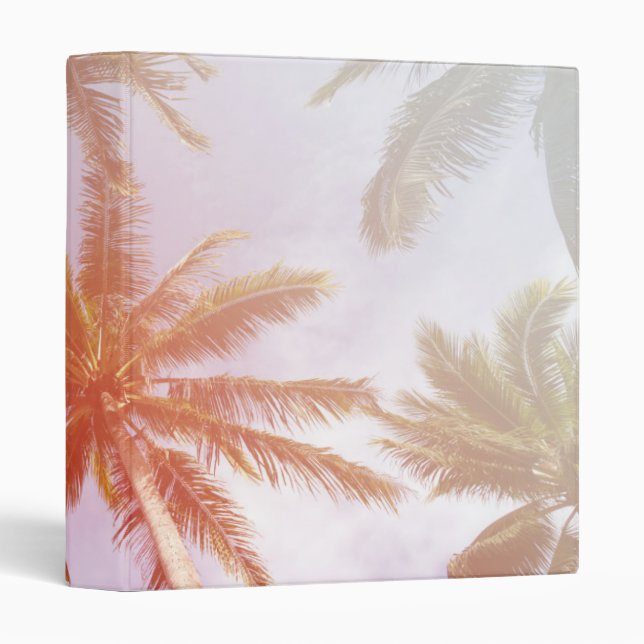 Classeur Palmier de noix de coco avec la lumière du soleil (Devant/Côté)