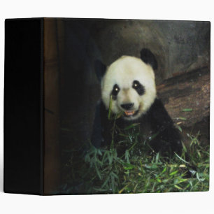 Classeur Panda Bear