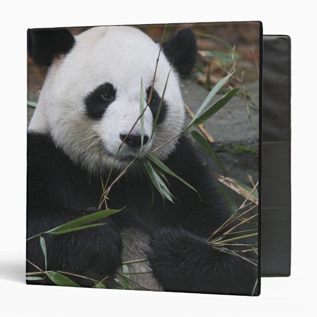 Classeur Panda géant (Devant/Intérieur)
