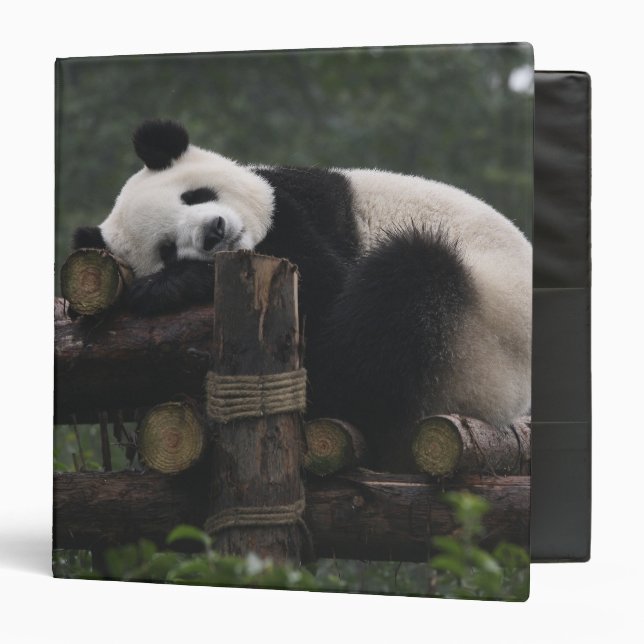 Classeur pandas géants à la Protection du panda géant (Devant/Intérieur)