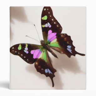 Classeur papillon