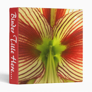 Classeur Papillon Amaryllis - 1"