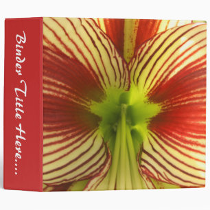 Classeur Papillon Amaryllis - 2"