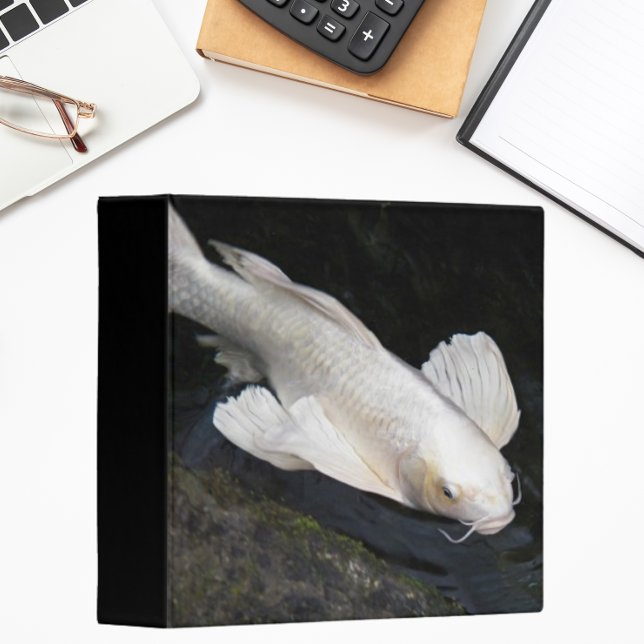 Classeur Papillon blanc Koi Photo (In Situ Angled)