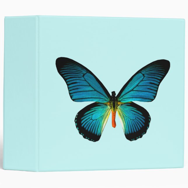 Classeur papillon bleu (Devant/Côté)