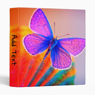 Classeur Papillon d'Artsy