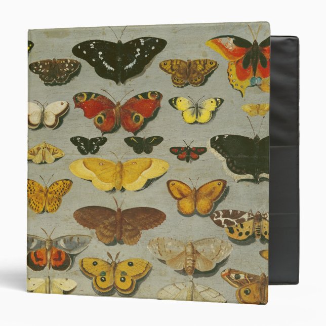 Classeur Papillons (Devant/Intérieur)