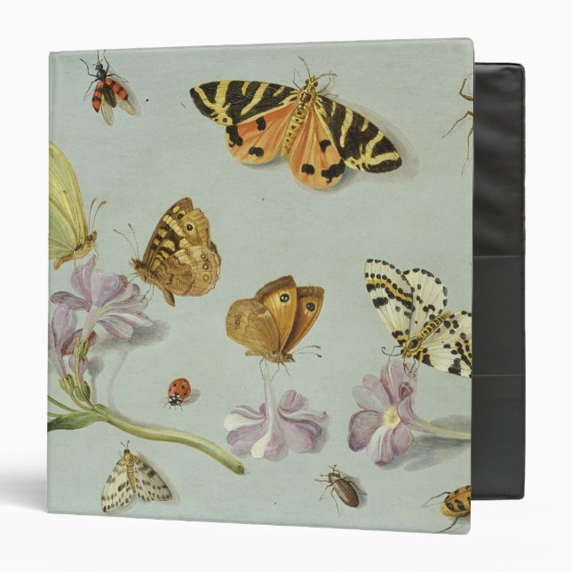 Classeur Papillons, mites et d'autres insectes (Devant/Intérieur)