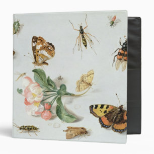 Classeur Papillons, mites et d'autres insectes