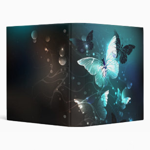 Classeur Papillons nocturnes