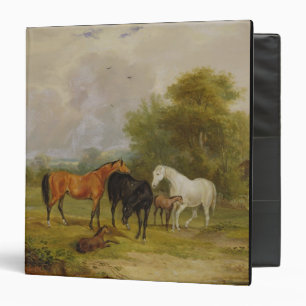 Classeur Pâturage de chevaux : Juments et poulains dans un