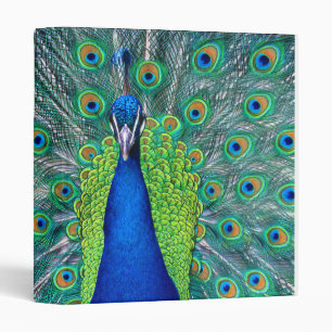 Classeur Peacock#3