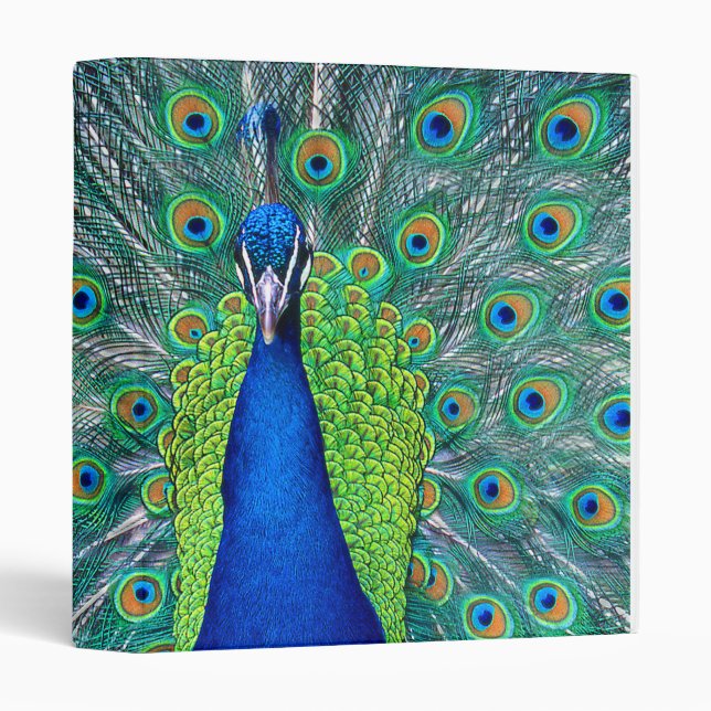 Classeur Peacock#3 (Devant/Côté)