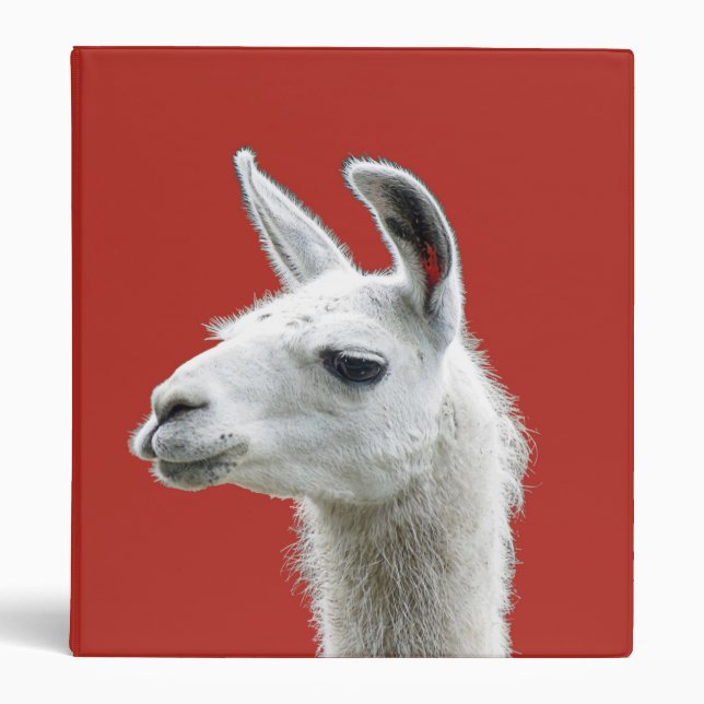 Classeur Peeking Llama Portrait sur un Arrière - plan rouge (Devant)