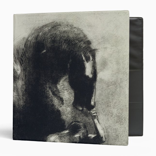 Classeur Pegasus (Devant/Intérieur)