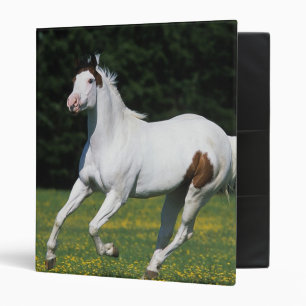 Classeur Peignez le cheval fonctionnant dans le domaine