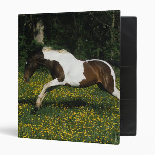 Classeur Peignez le cheval fonctionnant dans le domaine des