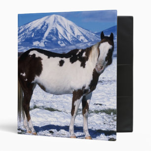 Classeur Peignez le cheval se tenant dans la neige