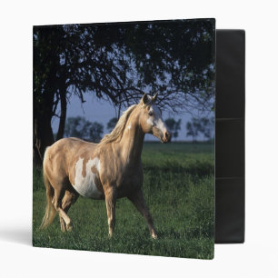 Classeur Peignez le cheval tenant 2