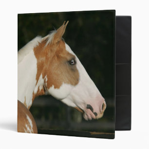 Classeur Peignez le Headshot 2 de cheval