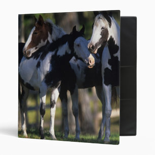 Classeur Peignez les chevaux