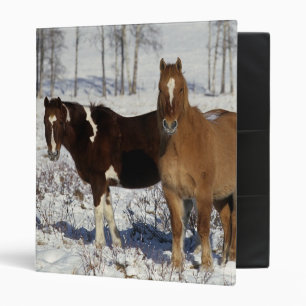 Classeur Peignez les chevaux dans la neige