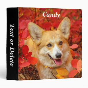 Classeur Pembroke Welsh Corgi Chien chiot en Feuille rouge